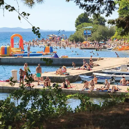 Pavlinka Bb Iv * 포세다르예